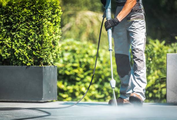 Best Roof Washing  in Niagara University, NY
