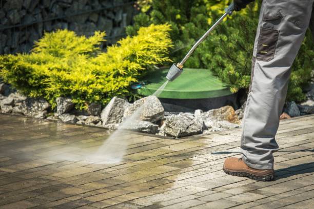 Best Playground Equipment Cleaning  in Niagara University, NY